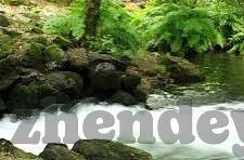 91av麻豆传媒国内14部-