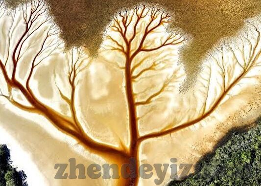 成人卡通视频-成人卡通视频，娱乐与界限的微妙平衡