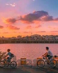 大象传媒app地址-探索大象传媒APP的独特魅力与价值