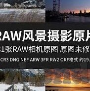 大象传媒app黄每日三次-大象传媒app的每日三次使用习惯与影响