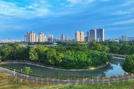 大象传媒dxdztop回家-回家的路，大象传媒Dxdztop的温暖旅程