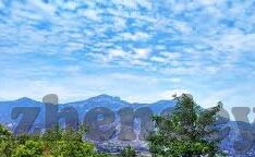 大象传媒免费入口9022-探索大象传媒的数字世界，9022免费入口的奇妙之旅