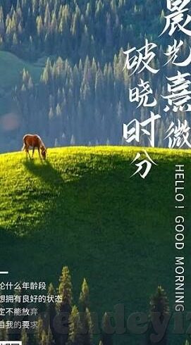 久久人妻中文字幕-探索成人影片的多元性与社会影响，以久久人妻中文字幕为例