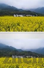 日本在线一区观看二区-探索日本在线一区与二区的文化交汇