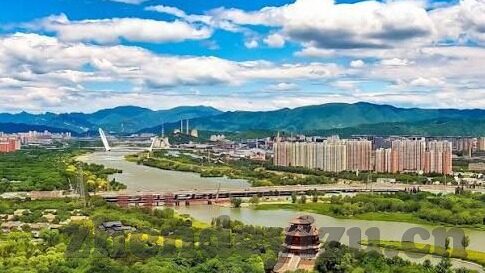 日韩av黄片免费看-探索成人娱乐的灰色地带，日韩AV影片的免费观看现象