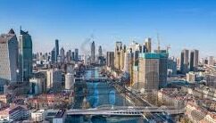 糖心app视频下载-探索数字世界中的视频盛宴，深入理解糖心App与视频下载体验