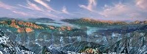 仙踪林果冻传媒-仙踪林果冻传媒，探索数字娱乐新境界的独特魅力
